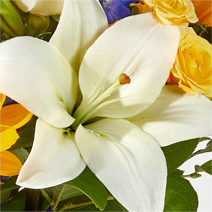 Wonderfully Sunny Bouquet –  Rosasxyasmin, Peoria AZ