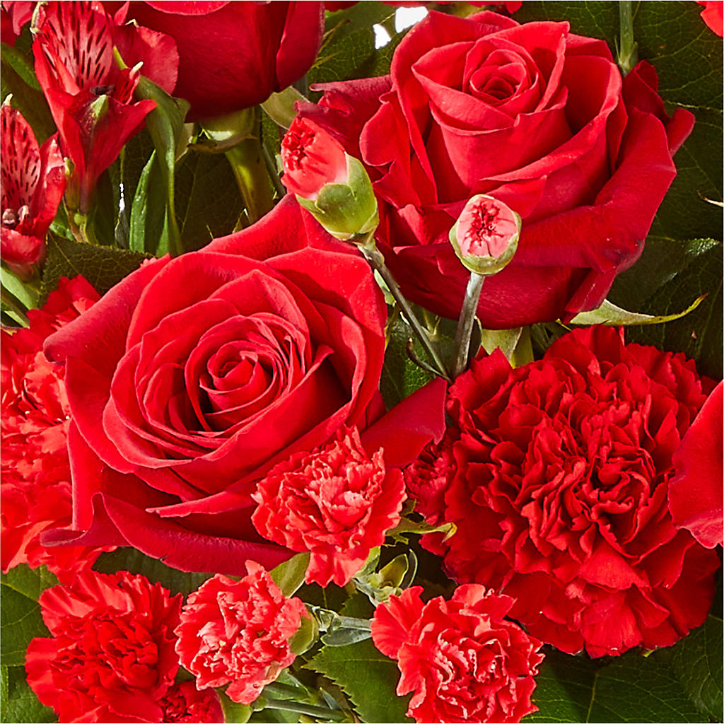 The Heartstrings Bouquet –  Rosasxyasmin, Peoria AZ