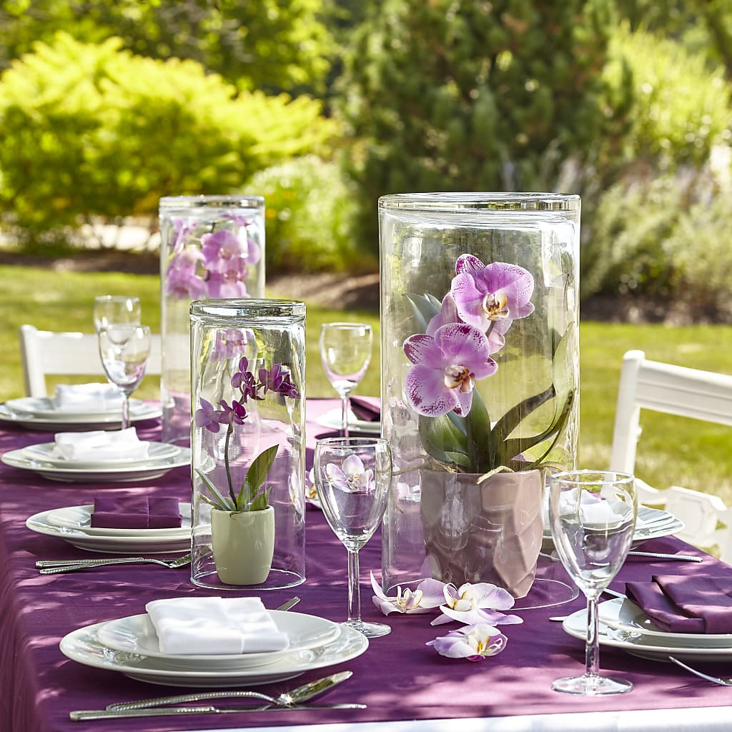Dramatic Garden Centerpiece –  Rosasxyasmin, Phoenix AZ