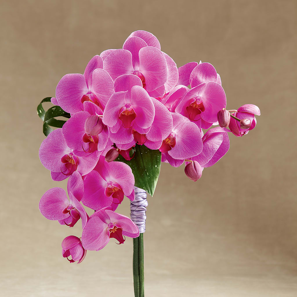 Glorious Bouquet –  Rosasxyasmin, Phoenix AZ
