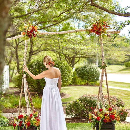 Arbor of Love Archway –  Rosasxyasmin, Phoenix AZ