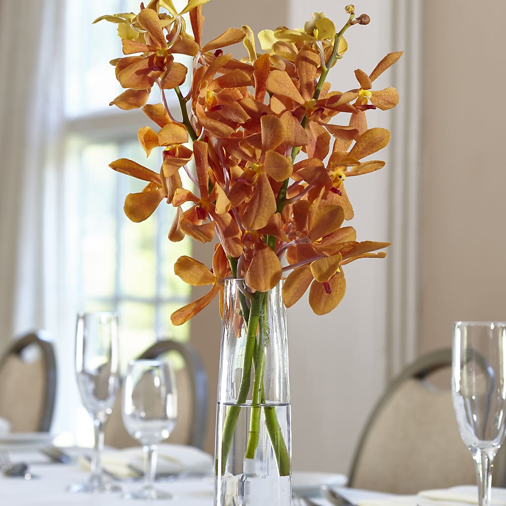 Orange Mokara Bud Vase –  Rosasxyasmin, Phoenix AZ