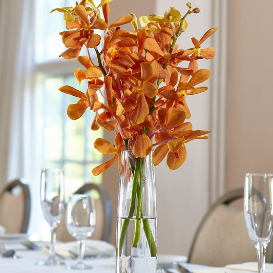 Orange Mokara Bud Vase –  Rosasxyasmin, Phoenix AZ
