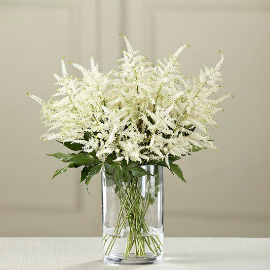 White Astilbe Bouquet –  Rosasxyasmin, Phoenix AZ