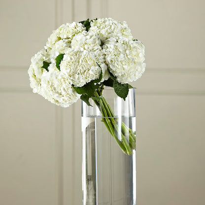 White Hydrangea Hand-Tied Bouquet –  Rosasxyasmin, Phoenix AZ