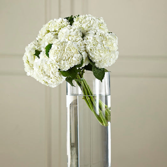 White Hydrangea Hand-Tied Bouquet –  Rosasxyasmin, Phoenix AZ