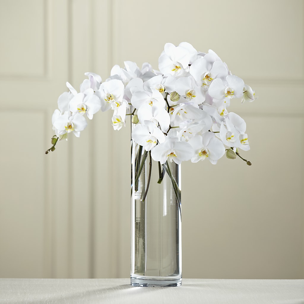 White Phalaenopsis Bouquet –  Rosasxyasmin, Phoenix AZ