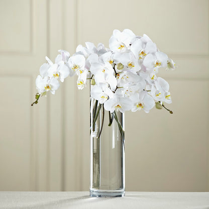 White Phalaenopsis Bouquet –  Rosasxyasmin, Phoenix AZ