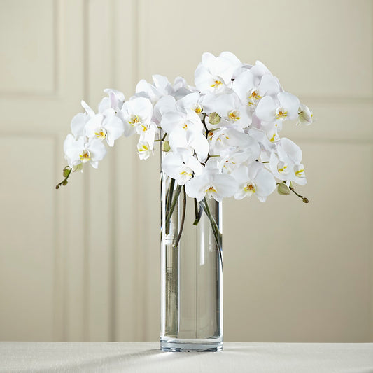 White Phalaenopsis Bouquet –  Rosasxyasmin, Phoenix AZ