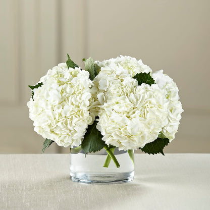 White Hydrangea Bouquet –  Rosasxyasmin, Phoenix AZ
